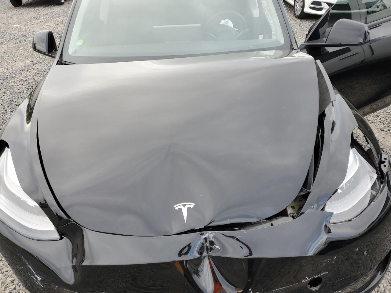 2022 TESLA MODEL Y  VIN:7SAYGDEE0NF545055