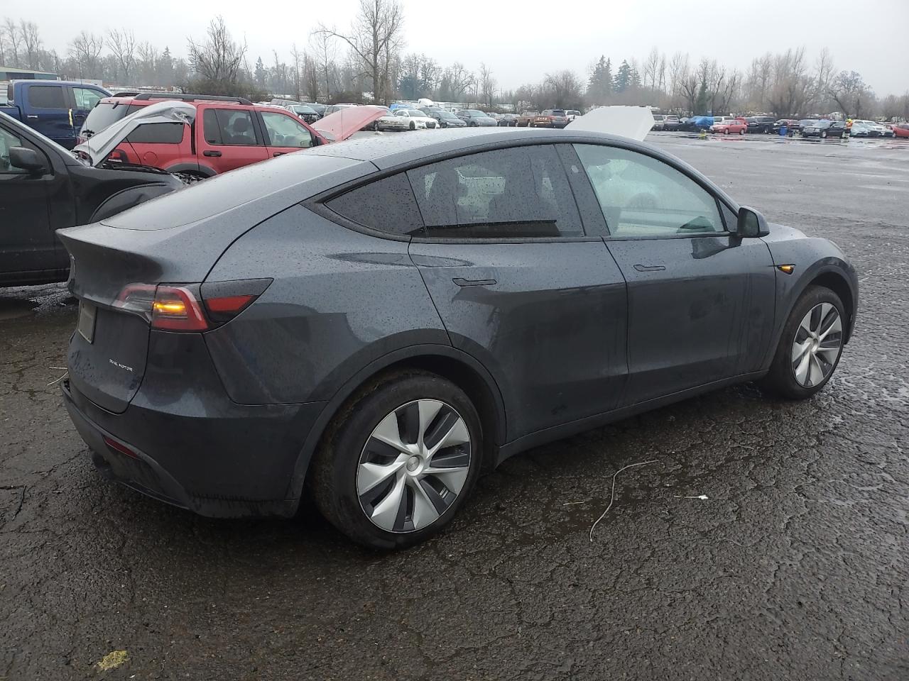 2024 TESLA MODEL Y  VIN:7SAYGDEE0RF990434