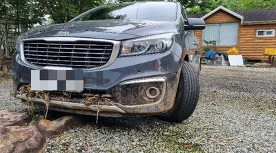 2017 Kia Carnival VIN: