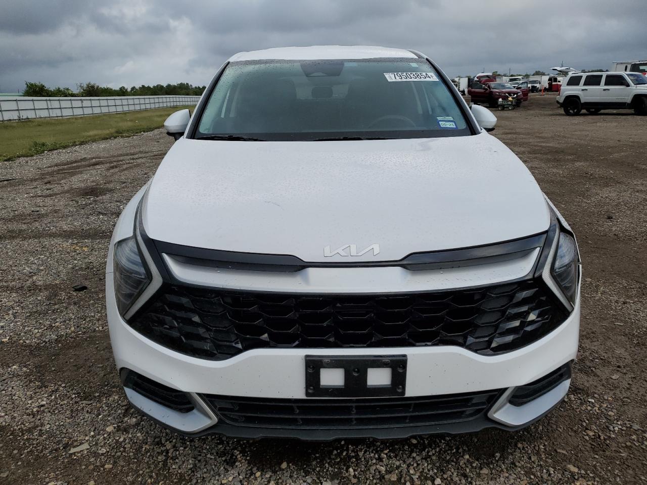 2024 KIA SPORTAGE EX VIN:5XYK33DF7RG148993