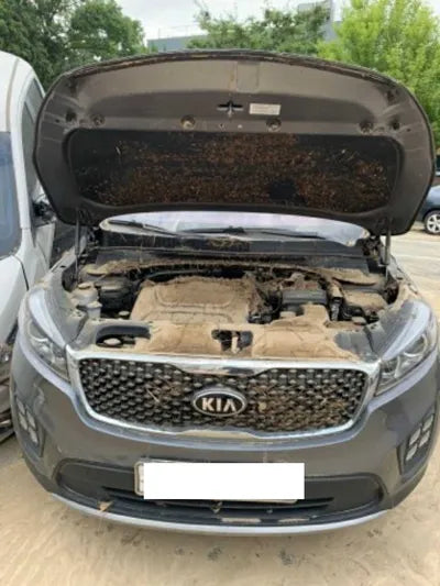 2016 Kia Sorento KNAPS81ABGA230225 VIN:KNAPS81ABGA230225