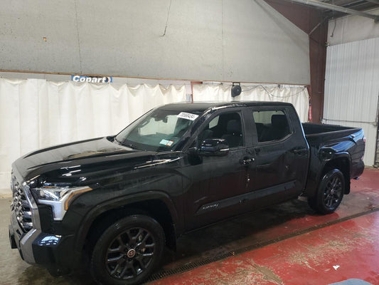 2024 TOYOTA TUNDRA CREWMAX PLATINUM VIN:5TFNA5DB6RX134110