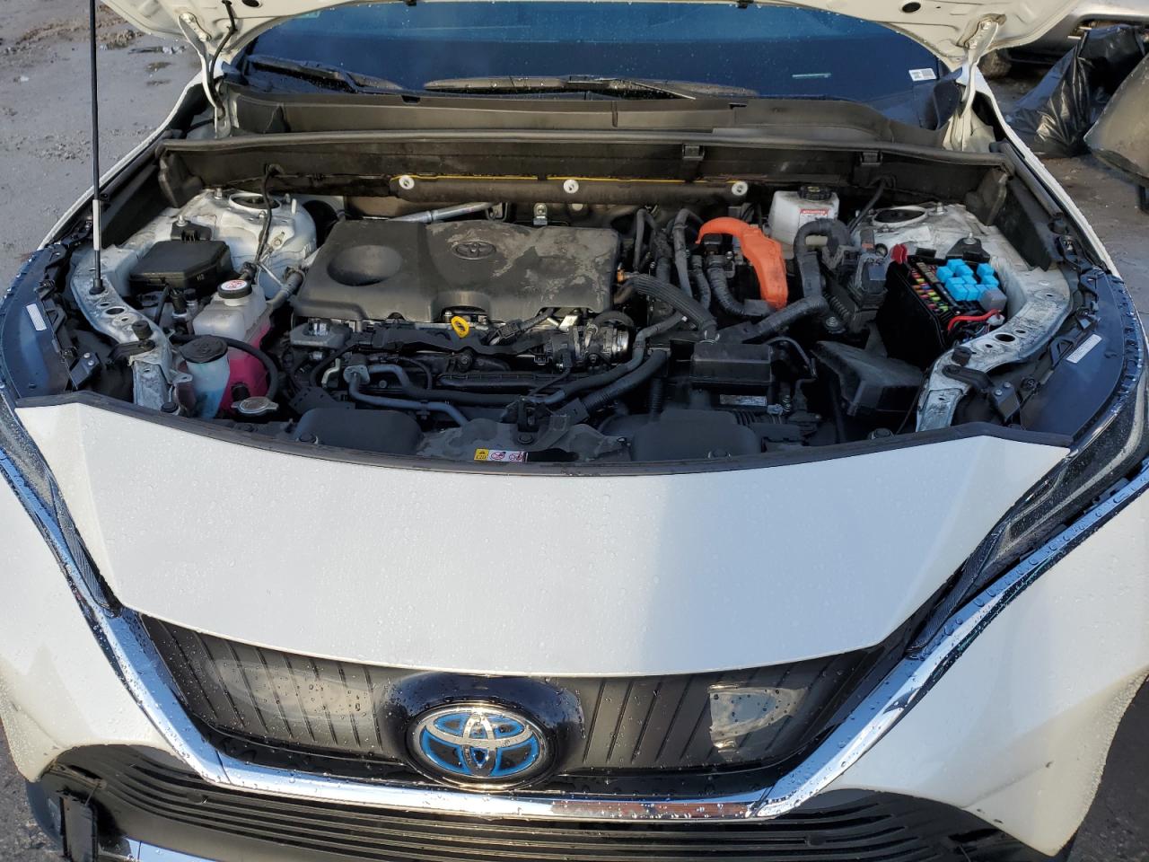 2023 TOYOTA VENZA LE VIN:JTEAAAAH2PJ147707