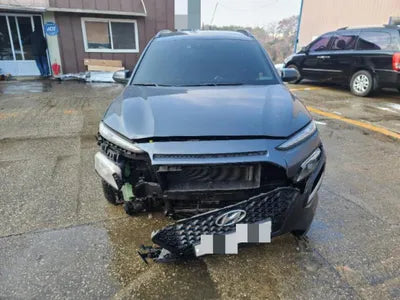 2018 Hyundai Kona KMHK3816GJU114010 VIN:KMHK3816GJU114010