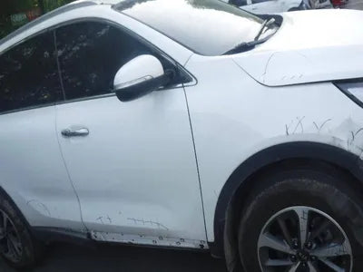 2017 Kia Sorento KNAPG81ABJA412119 VIN:KNAPG81ABJA412119