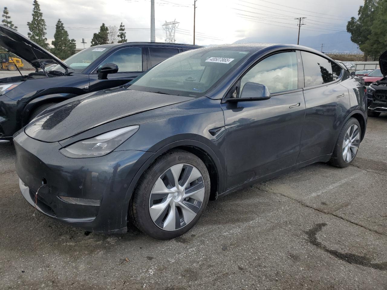 2024 TESLA MODEL Y  VIN:7SAYGDED1RF052031