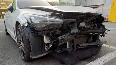 2021 Kia Stinger KNAE351DBMS101749 VIN:KNAE351DBMS101749