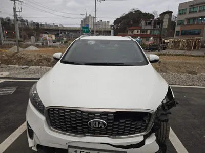 2019 Kia Sorento KNAPG81BDKA540068 VIN:KNAPG81BDKA540068