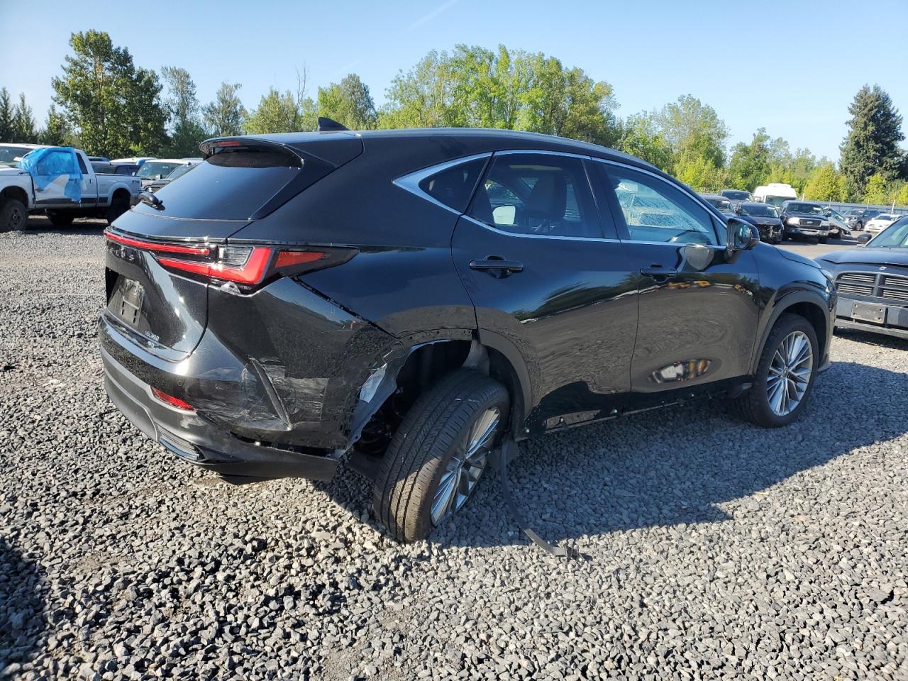 2024 LEXUS NX 350 LUXURY VIN:JTJHGCEZ7R5008942