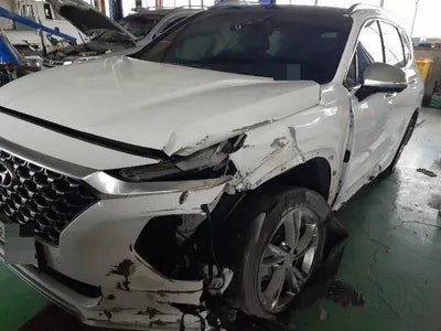 2019 Hyundai Santa FE KMHS581ABLU247207 VIN:KMHS581ABLU247207