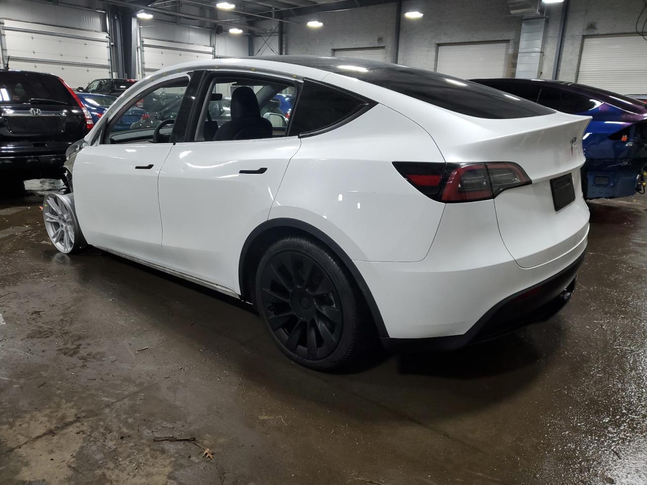 2023 TESLA MODEL Y  VIN:7SAYGDEE5PA189542