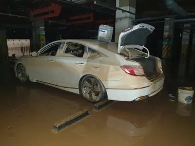 2019 Honda Accord VIN: