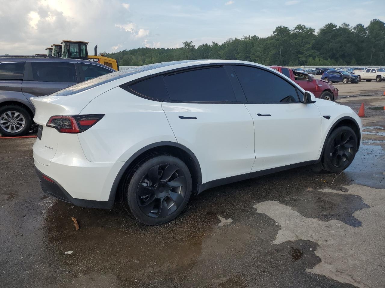 2023 TESLA MODEL Y  VIN:7SAYGDEE1PA162659