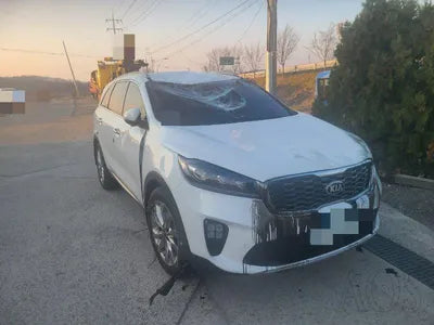 2019 Kia Sorento VIN: