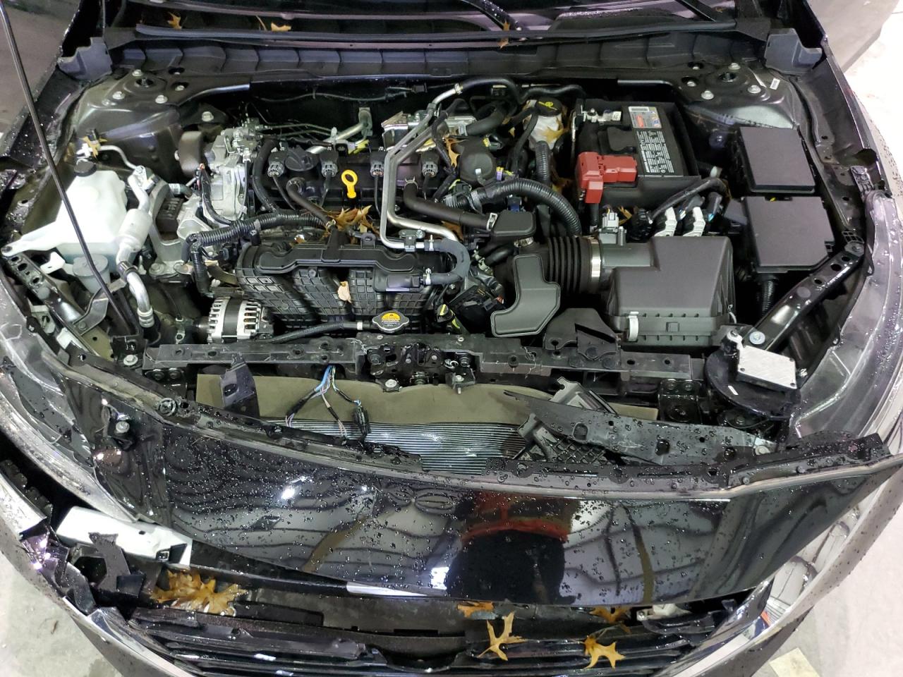2024 NISSAN ALTIMA SL VIN:1N4BL4EV3RN414214