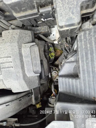 2021 Kia Sorento KNARM81FGMA109268 VIN:KNARM81FGMA109268