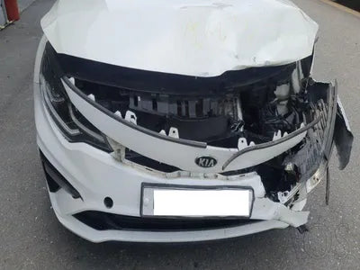 2020 Kia K5 KNAGT416BLA372350 VIN:KNAGT416BLA372350