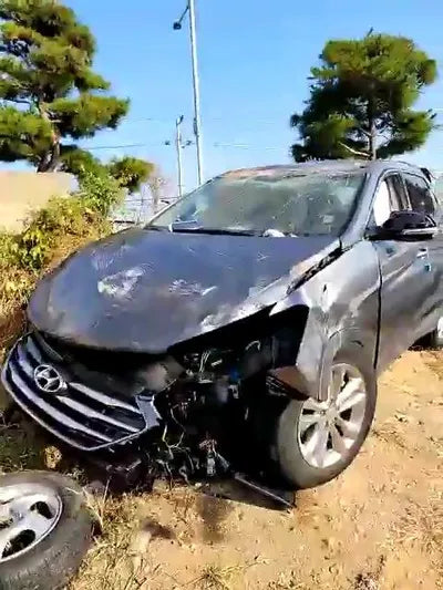 2016 Hyundai Santa FE KMHSW81UBGU651877 VIN:KMHSW81UBGU651877