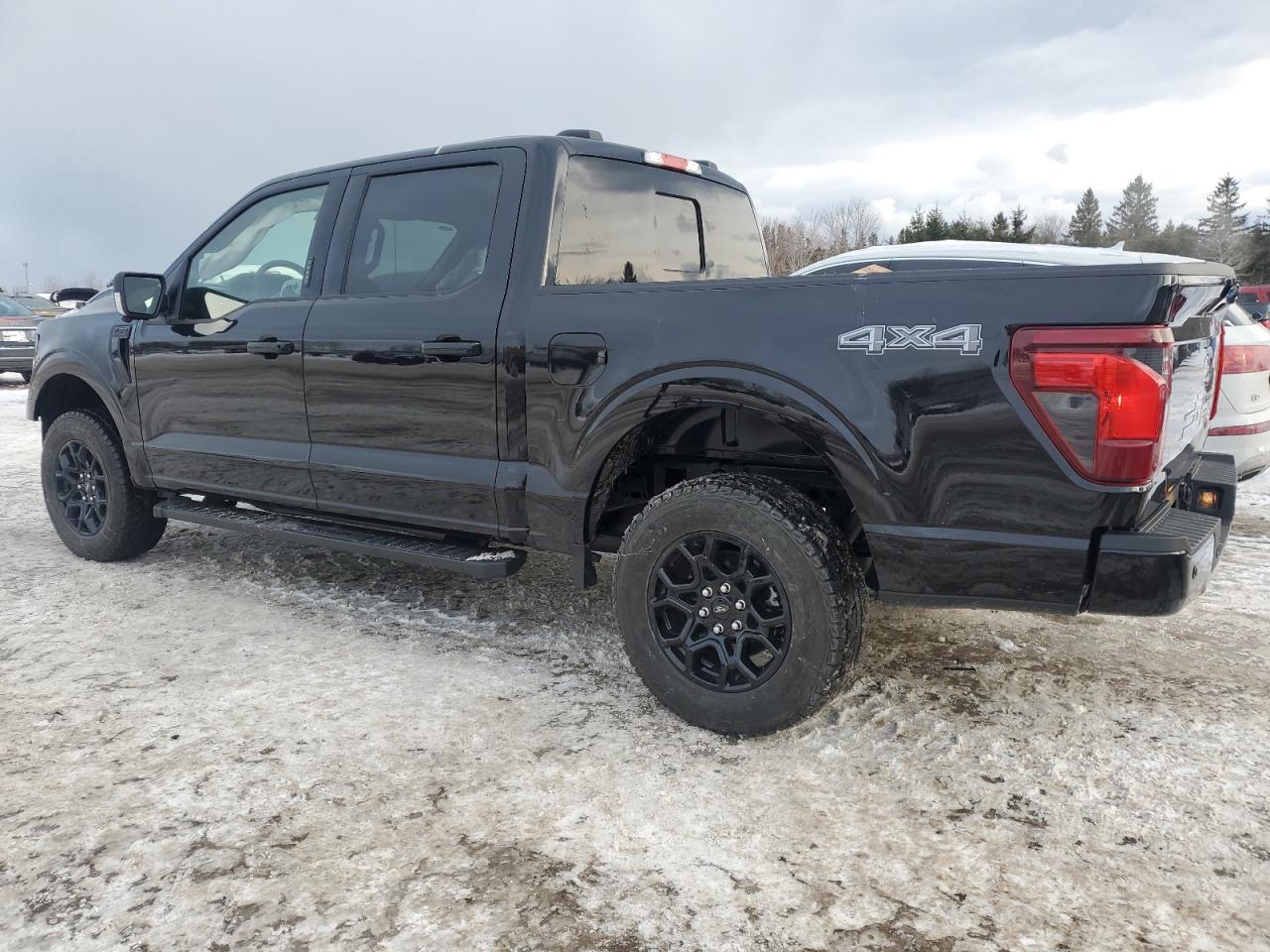 2024 FORD F150 XLT VIN:1FTEW3LP8RKD69396