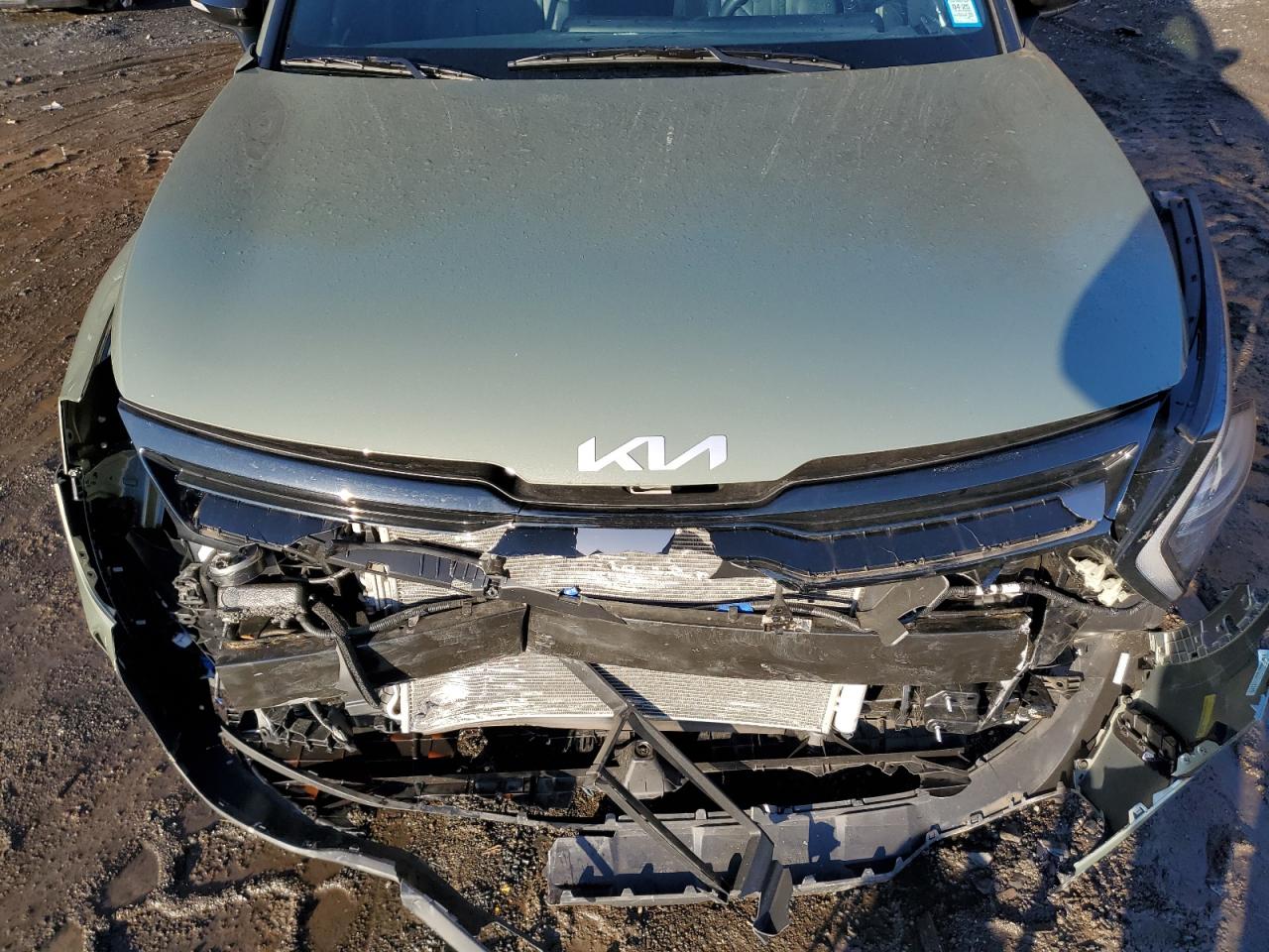 2024 KIA SPORTAGE X LINE VIN:5XYK6CDF9RG204665