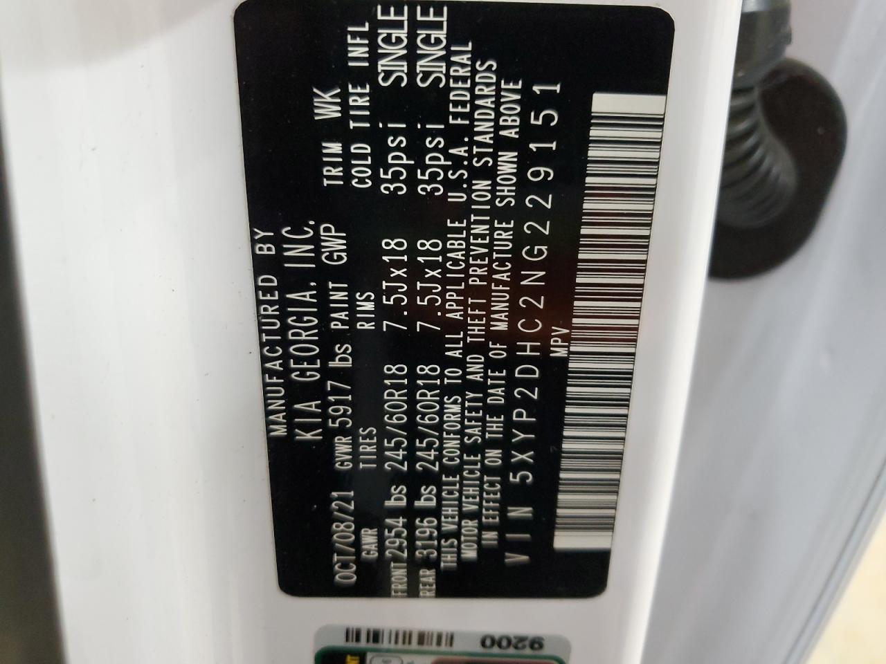 2022 KIA TELLURIDE LX VIN:5XYP2DHC2NG229151