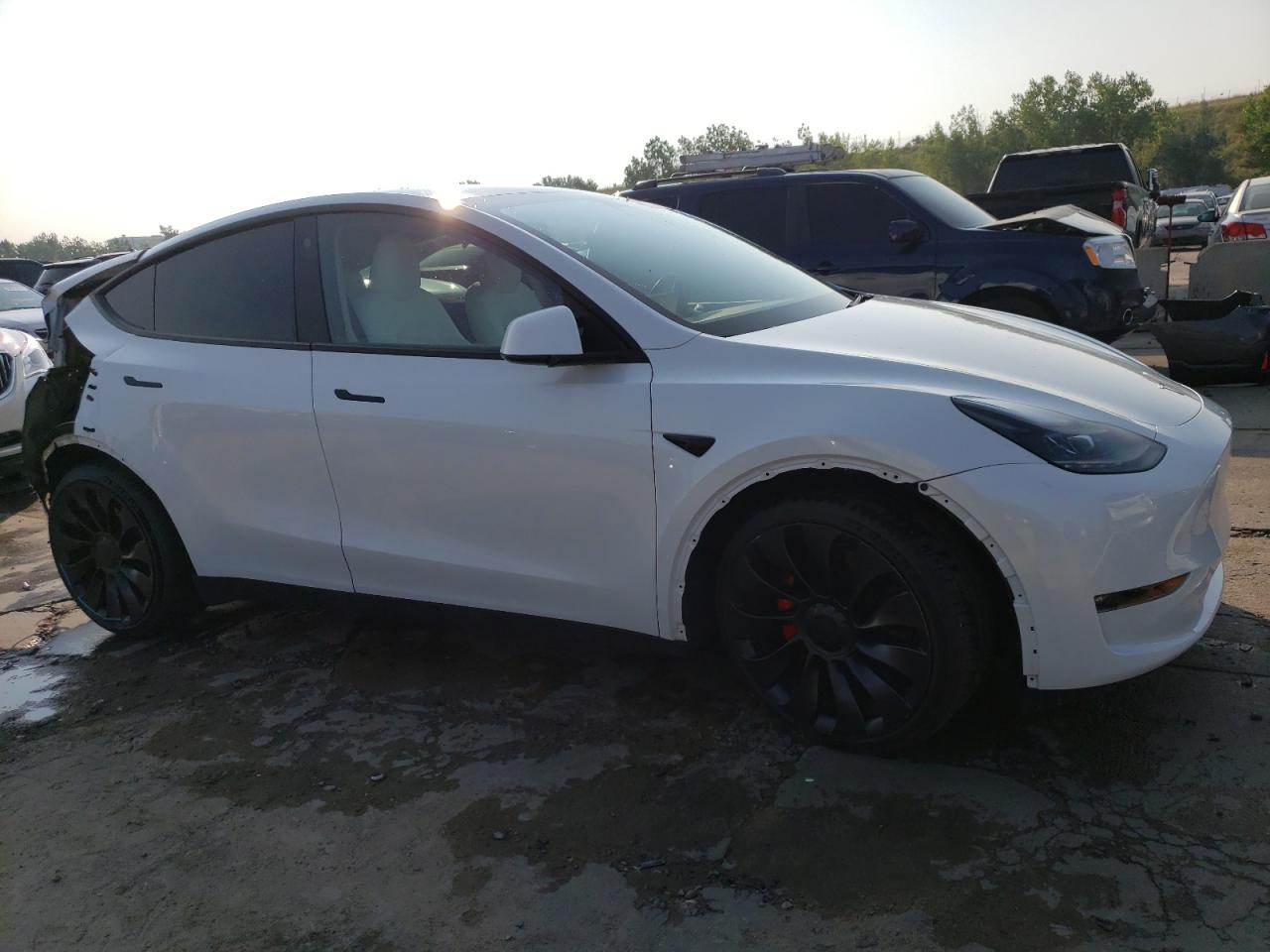 2023 TESLA MODEL Y  VIN:7SAYGDEF5PF710996