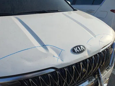 2021 Kia Carnival KNANE81BBMS092394 VIN:KNANE81BBMS092394