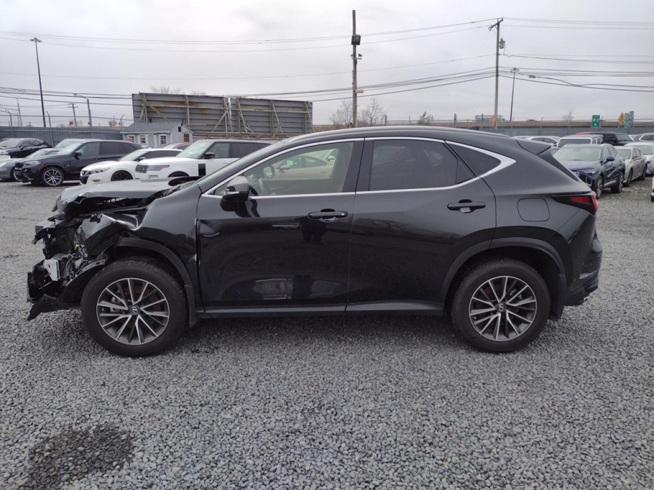 2022 LEXUS NX 250 VIN:JTJADCAZ6N2001315