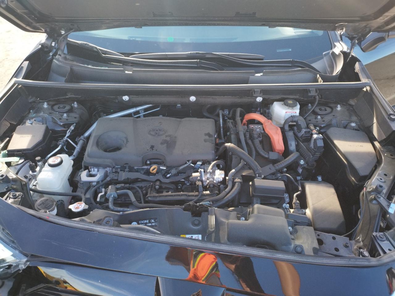 2024 TOYOTA RAV4 XLE VIN:2T3RWRFV2RW206412