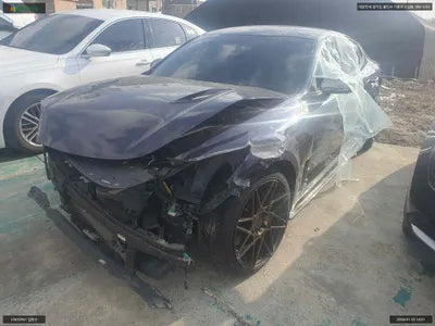 2017 Kia Stinger KNAE751CDJS006273 VIN:KNAE751CDJS006273