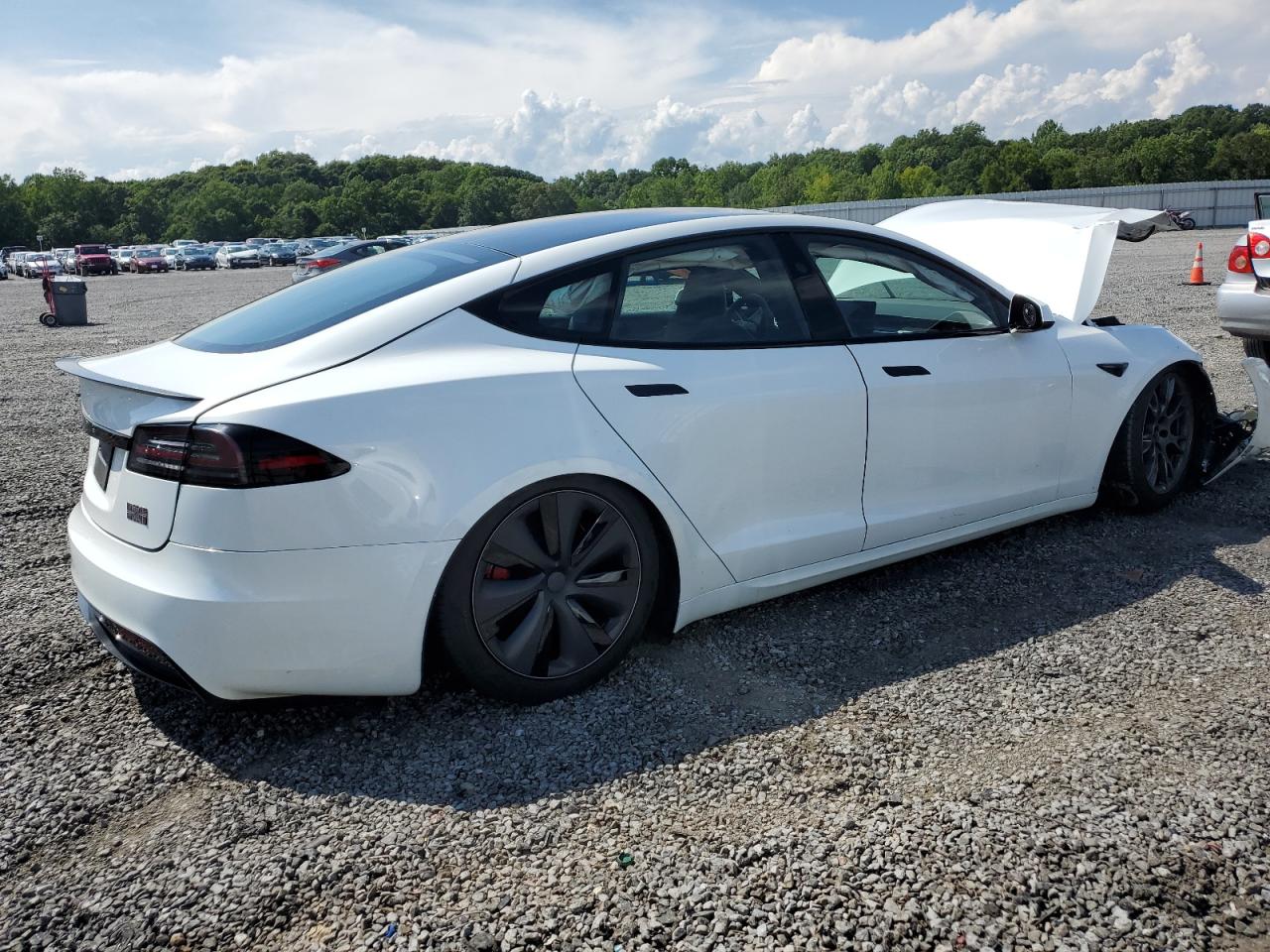 2023 TESLA MODEL S  VIN:WP0AA2A8XNS255297