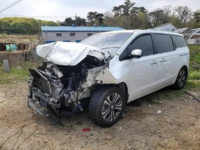 2019 Kia Carnival KNAMB81ABKS545085 VIN:KNAMB81ABKS545085