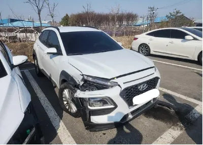 2020 Hyundai Kona KMHK4815GLU563369 VIN:KMHK4815GLU563369