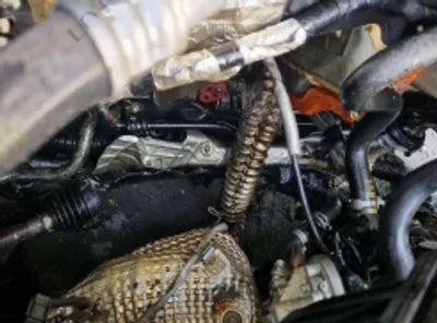 2022 Hyundai Kona KMHK381EGNU076910 VIN:KMHK381EGNU076910