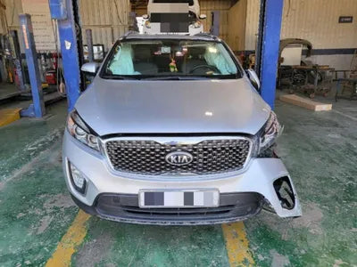 2016 Kia Sorento KNAPS81ADGA253418 VIN:KNAPS81ADGA253418