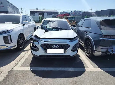 2018 Hyundai Kona KMHK3816GJU144236 VIN:KMHK3816GJU144236