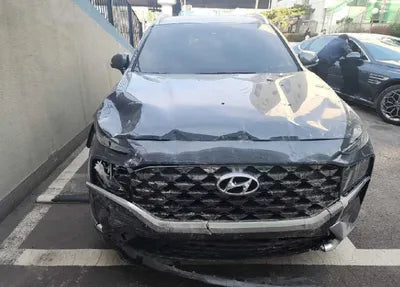 2021 Hyundai Santa FE KMHS581HGMU322507 VIN:KMHS581HGMU322507