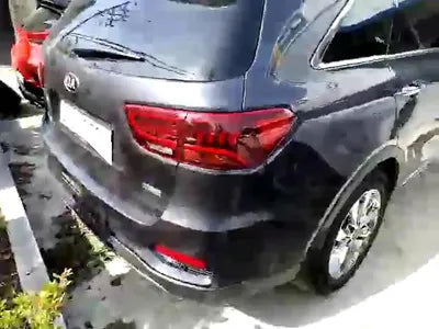 2019 Kia Sorento KNAPS81ABLA607195 VIN:KNAPS81ABLA607195
