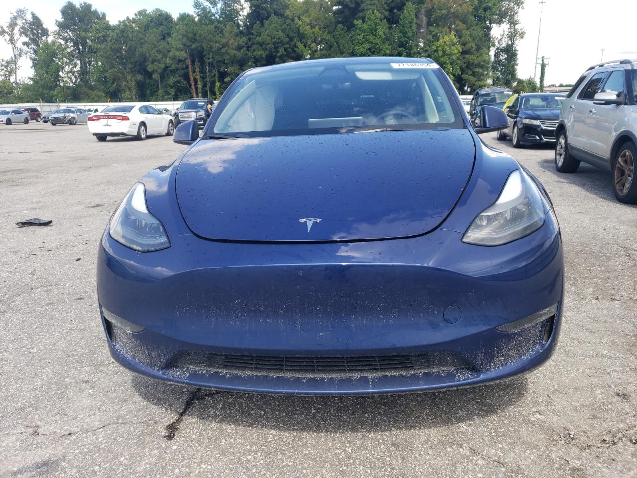 2023 TESLA MODEL Y  VIN:7SAYGDEE0PF704417