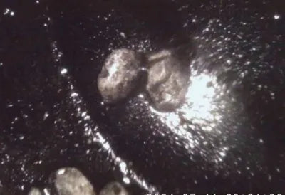 2019 Mercedes-Benz E 300 VIN: