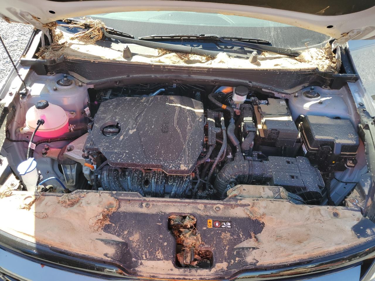 2024 KIA SPORTAGE X LINE VIN:5XYK6CDFXRG233236