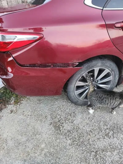 2016 Toyota Camry 577KM4T1BF1FK6GU6 VIN:577KM4T1BF1FK6GU6