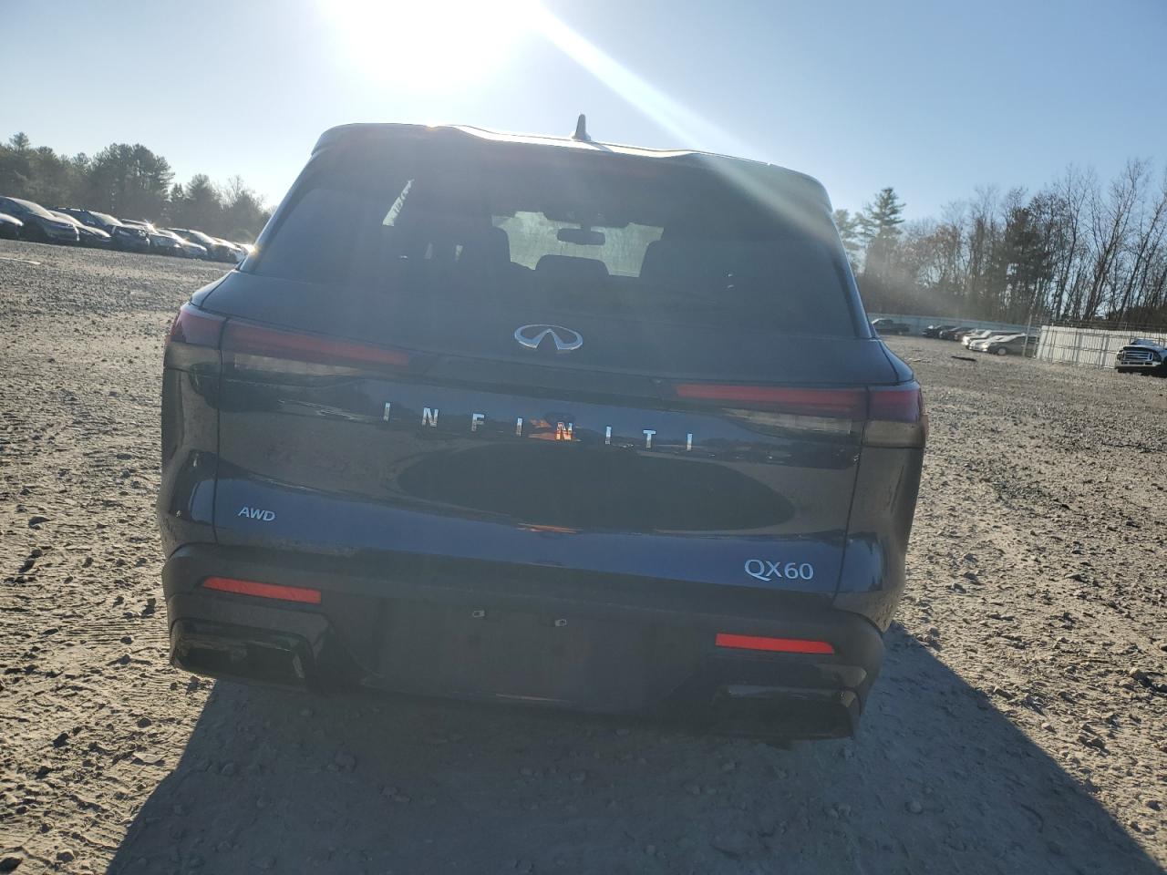 2022 INFINITI QX60 PURE VIN:5N1DL1ESXNC333512