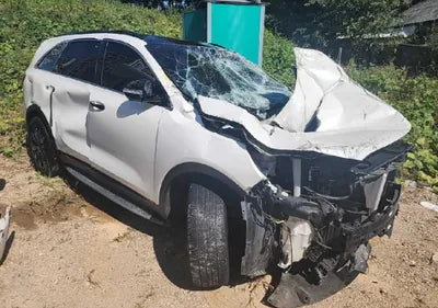 2018 Kia Sorento KNAPH81BBJA385967 VIN:KNAPH81BBJA385967