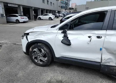 2021 Hyundai Santa FE KMHS281LGMU385620 VIN:KMHS281LGMU385620