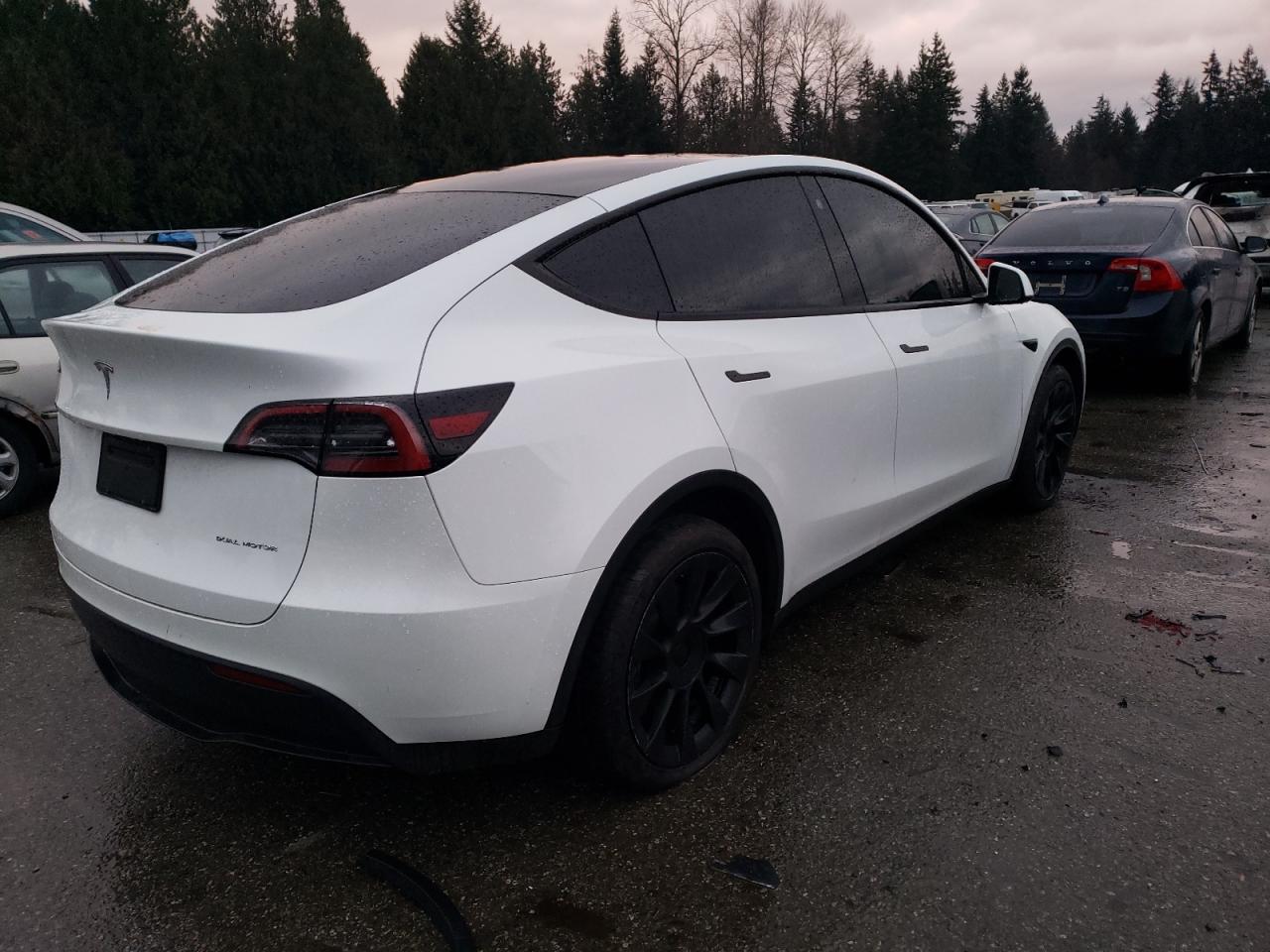 2023 TESLA MODEL Y  VIN:7SAYGAEE4PF599993