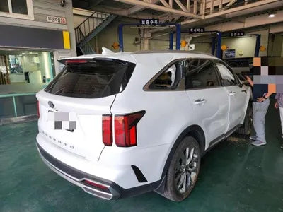 2020 Kia Sorento KNARK81BGMA002936 VIN:KNARK81BGMA002936
