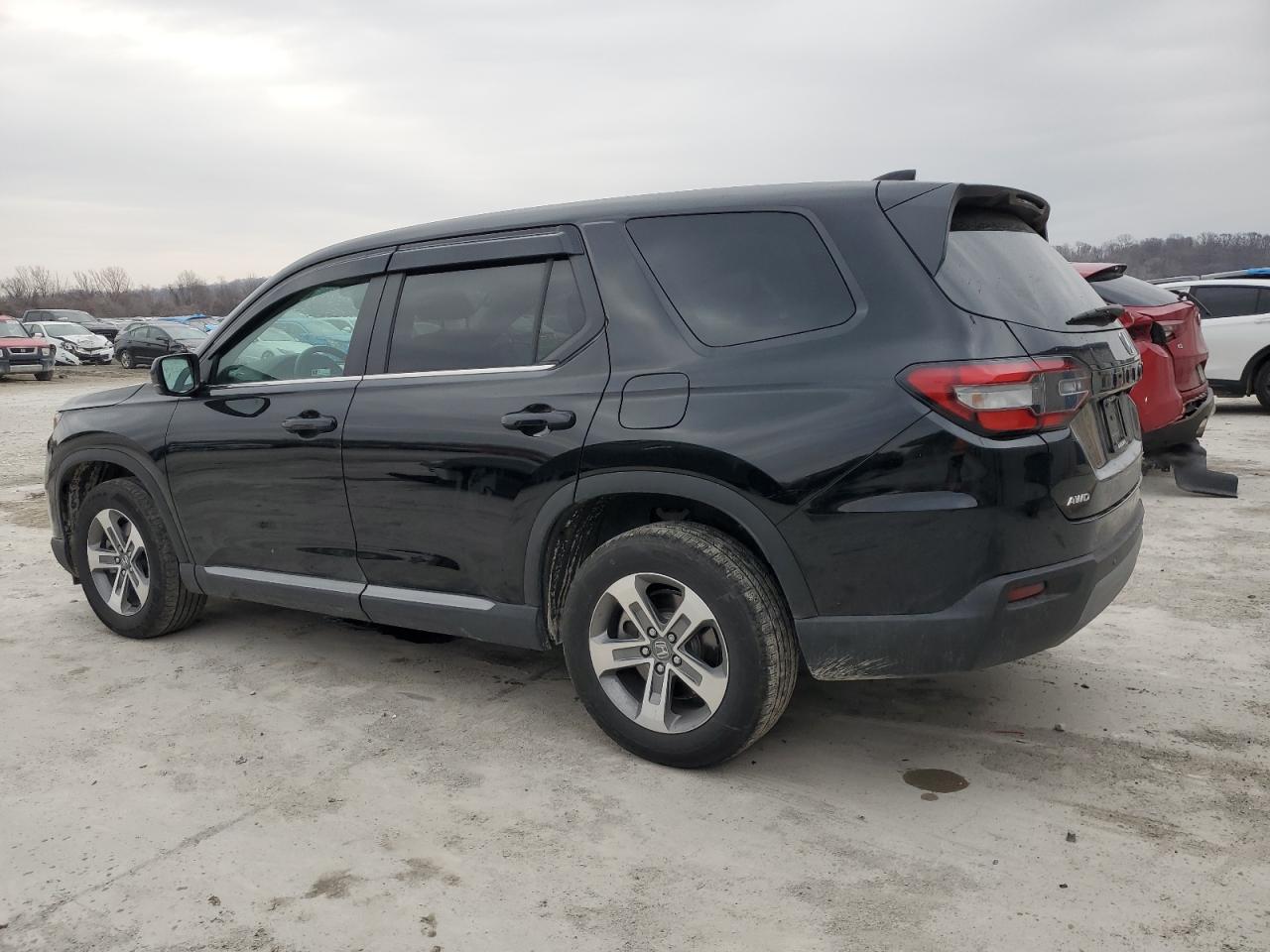 2023 HONDA PILOT EXL VIN:5FNYG1H49PB058440