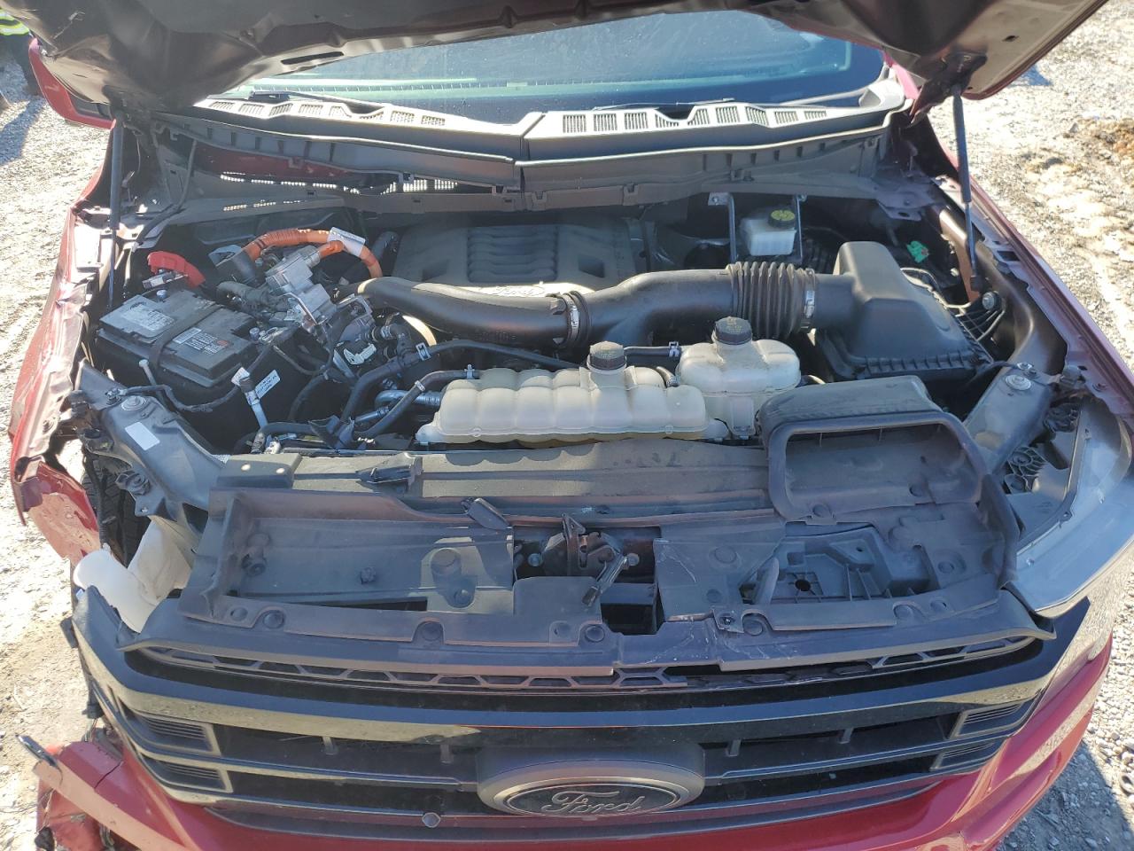 2022 FORD F150 SUPERCREW VIN:1FTFW1ED8NFB16710