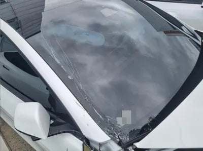 2021 Tesla Model 3 VIN: